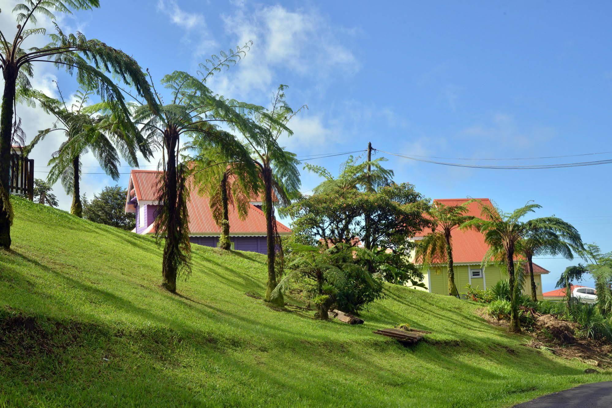 Auberge De La Montagne Pelee Hotel Saint-Pierre Zewnętrze zdjęcie